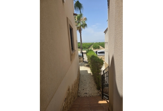 Rynek wtórny - Bliźniak - Algorfa - La Finca Golf Resort