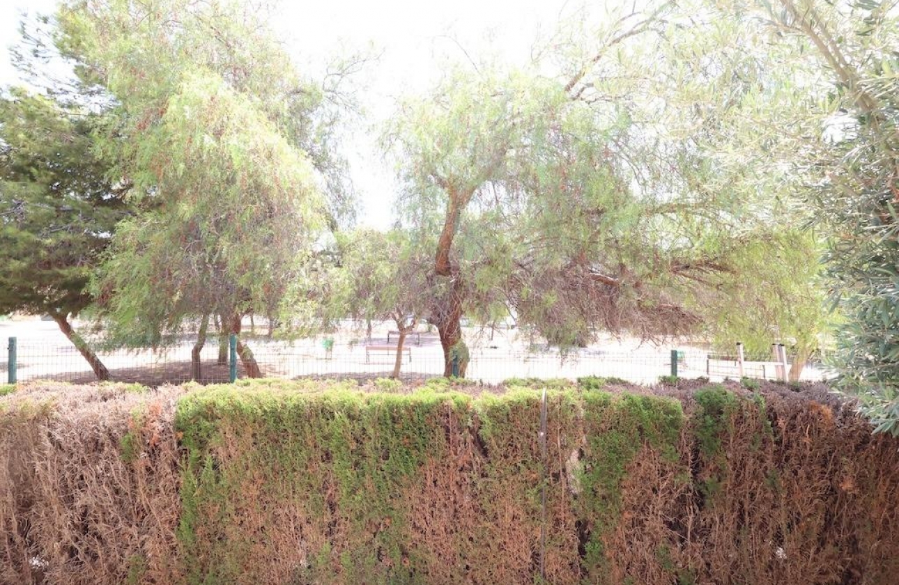 Rynek wtórny - Bungalow - Orihuela Costa - Punta Prima