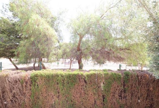 Rynek wtórny - Bungalow - Orihuela Costa - Punta Prima