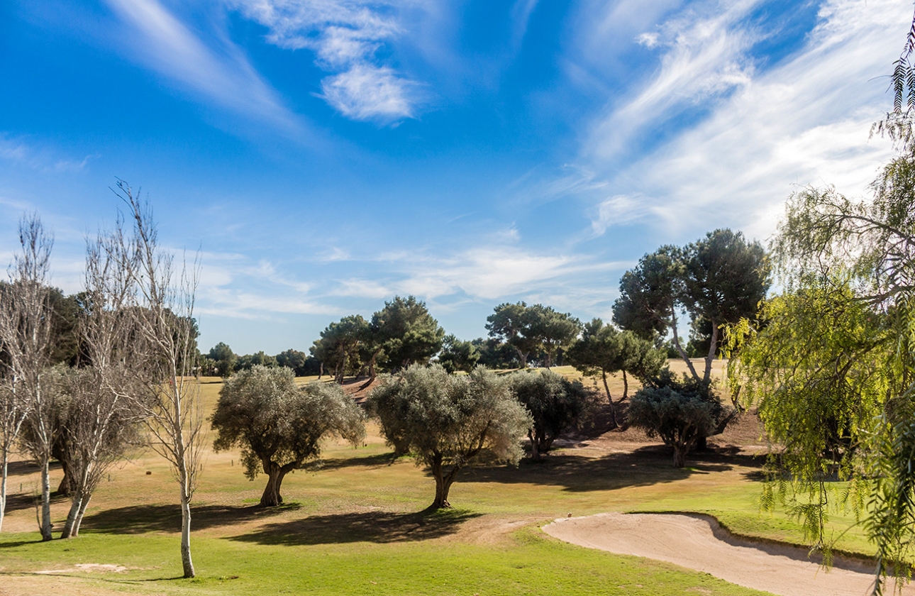 Resale - Apartment - Orihuela Costa - Villamartín