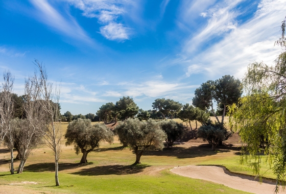 Resale - Apartment - Orihuela Costa - Villamartín