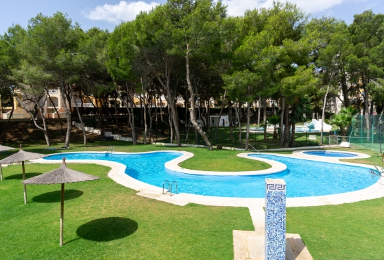 Reventa - Apartment - Campoamor