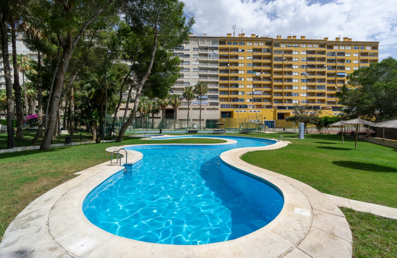 Reventa - Apartment - Campoamor