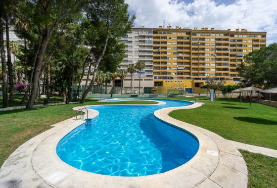 Reventa - Apartment - Campoamor
