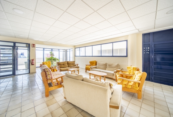 Rynek wtórny - Apartament - Torrevieja - La Mata