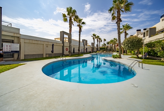 Rynek wtórny - Apartament - Torrevieja - La Mata