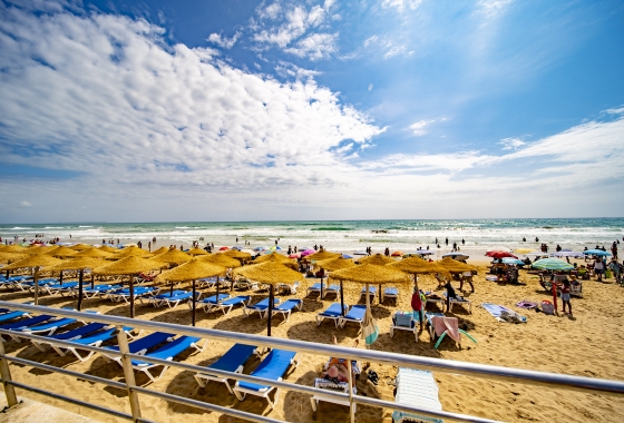 Rynek wtórny - Apartament - Torrevieja - La Mata