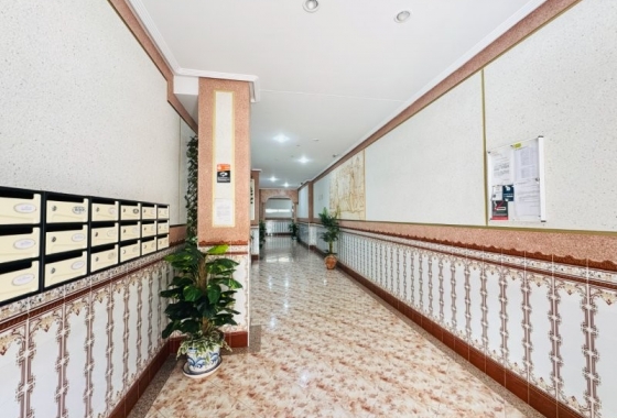 Rynek wtórny - Apartament - Torrevieja - La Mata