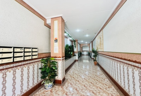 Rynek wtórny - Apartament - Torrevieja - La Mata