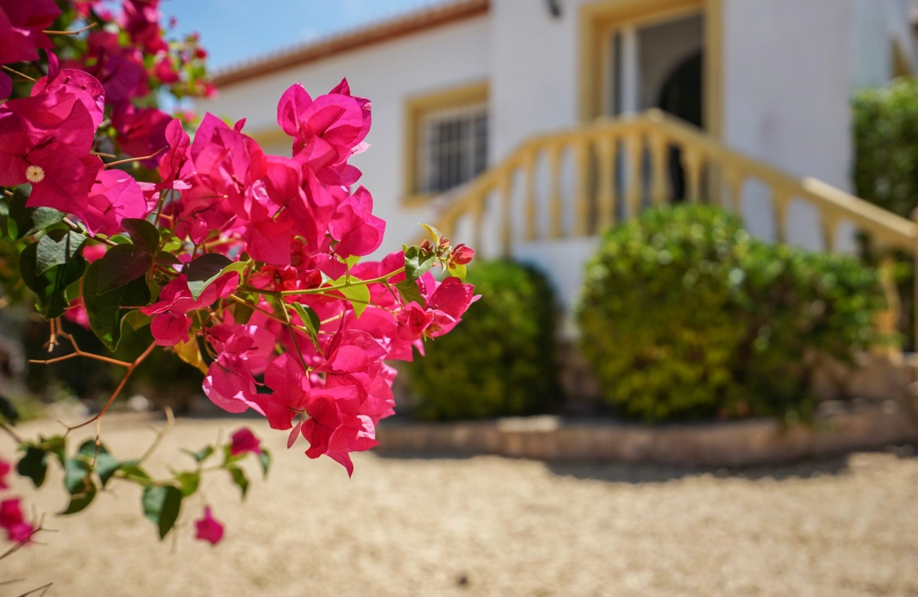 Rynek wtórny - Villa - Jávea - La Granadella - Costa Nova