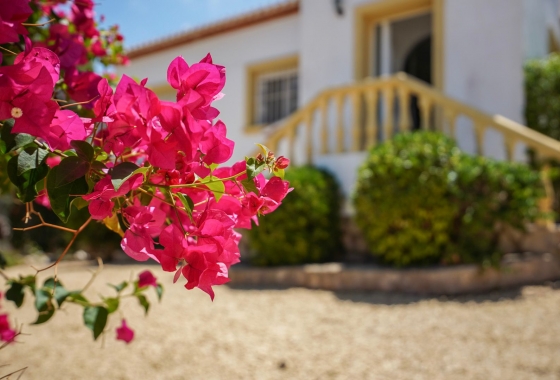 Rynek wtórny - Villa - Jávea - La Granadella - Costa Nova