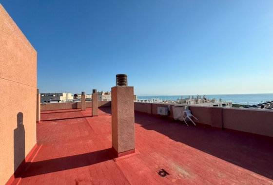 Rynek wtórny - Apartament - Torrevieja - La Mata