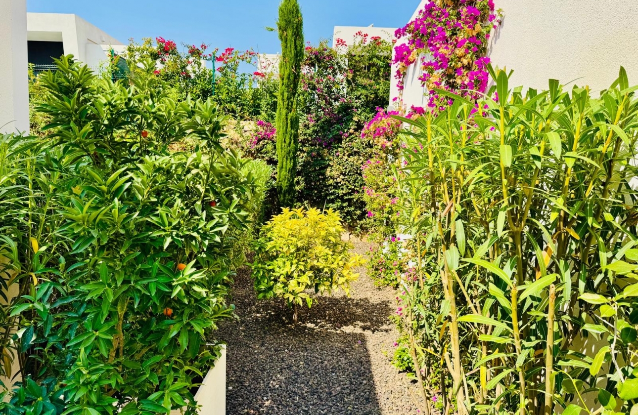 Rynek wtórny - Villa - Algorfa - La Finca Golf