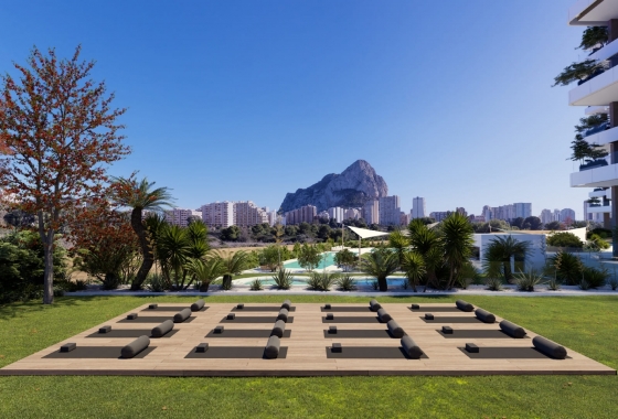 Obra nueva - Apartment - Calpe