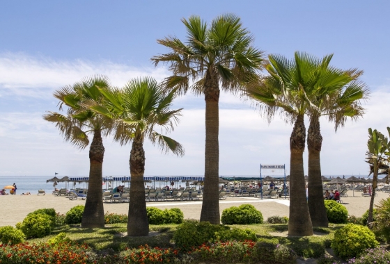 Obra nueva - Apartment - Las Lagunas de Mijas