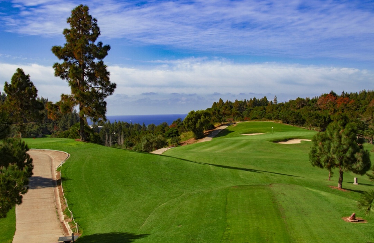 Obra nueva - Ático - Las Lagunas de Mijas