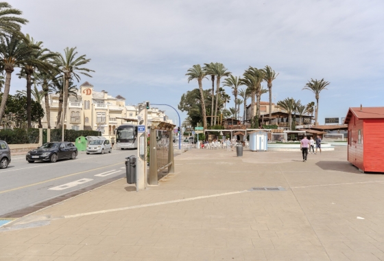 Rynek wtórny - Apartament - Torrevieja - Playa de los Locos
