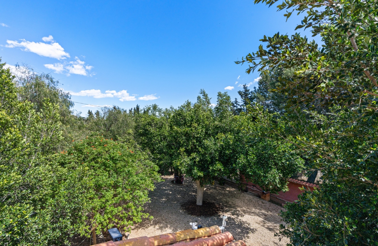 Rynek wtórny - Villa - El Altet - San Francisco de Asis