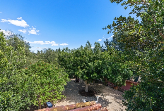 Rynek wtórny - Villa - El Altet - San Francisco de Asis