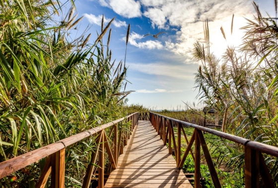 Rynek wtórny - Apartament - Torrevieja - La Mata