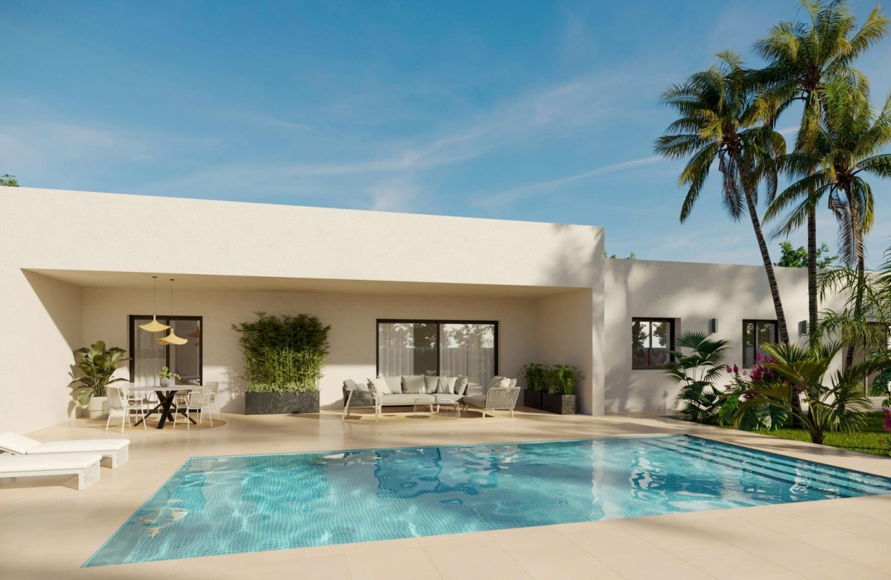 Obra nueva - Detached - Aspe