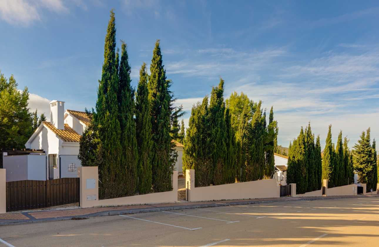 Rynek pierwotny - Szeregowiec - Fuente Álamo