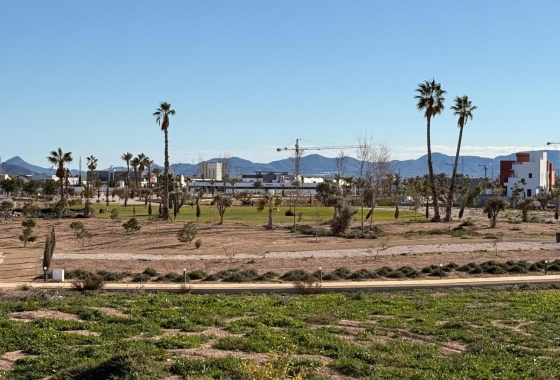 Rynek wtórny - Apartament - Torre Pacheco - Santa Rosalia Lake And Life Resort