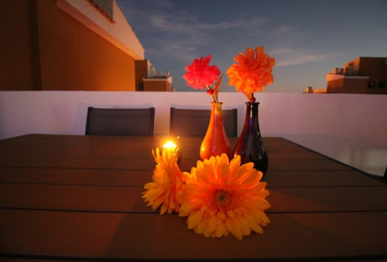 Rynek wtórny - Apartament - Punta Prima - La Entrada