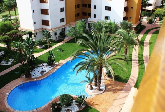 Rynek wtórny - Apartament - Punta Prima - La Entrada