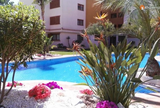 Rynek wtórny - Apartament - Punta Prima - La Entrada