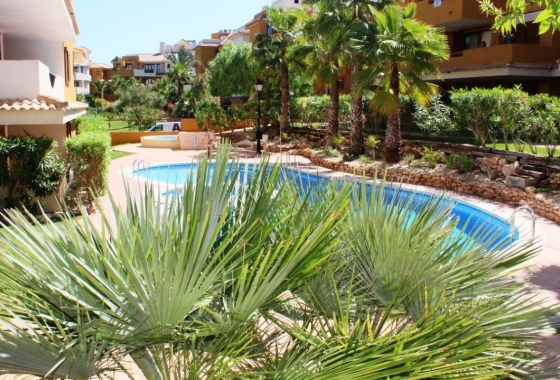 Rynek wtórny - Apartament - Punta Prima - La Entrada