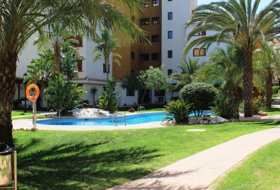 Rynek wtórny - Apartament - Punta Prima - La Entrada