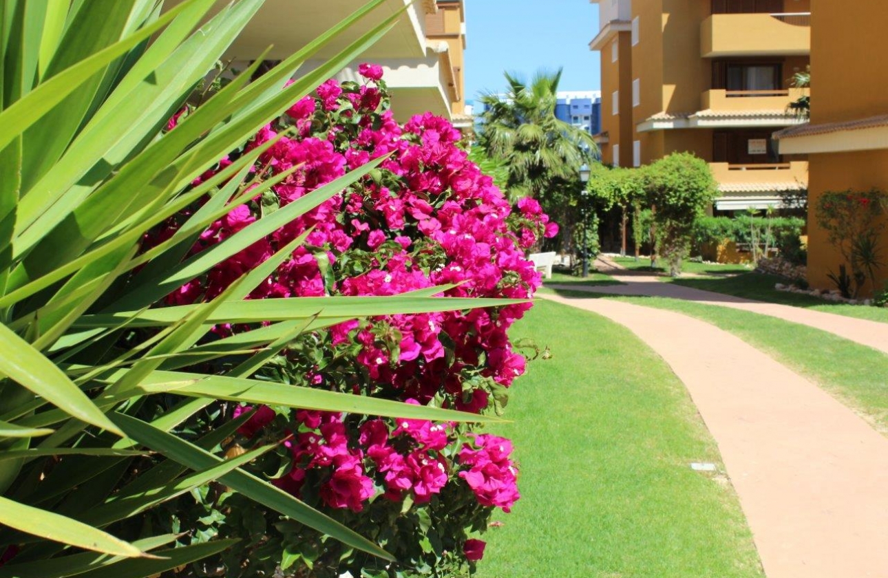 Rynek wtórny - Apartament - Punta Prima - La Entrada