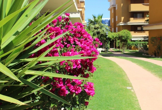 Rynek wtórny - Apartament - Punta Prima - La Entrada