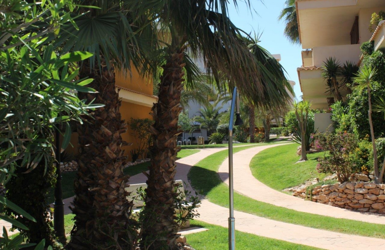 Rynek wtórny - Apartament - Punta Prima - La Entrada