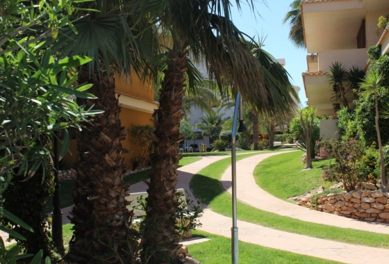 Rynek wtórny - Apartament - Punta Prima - La Entrada