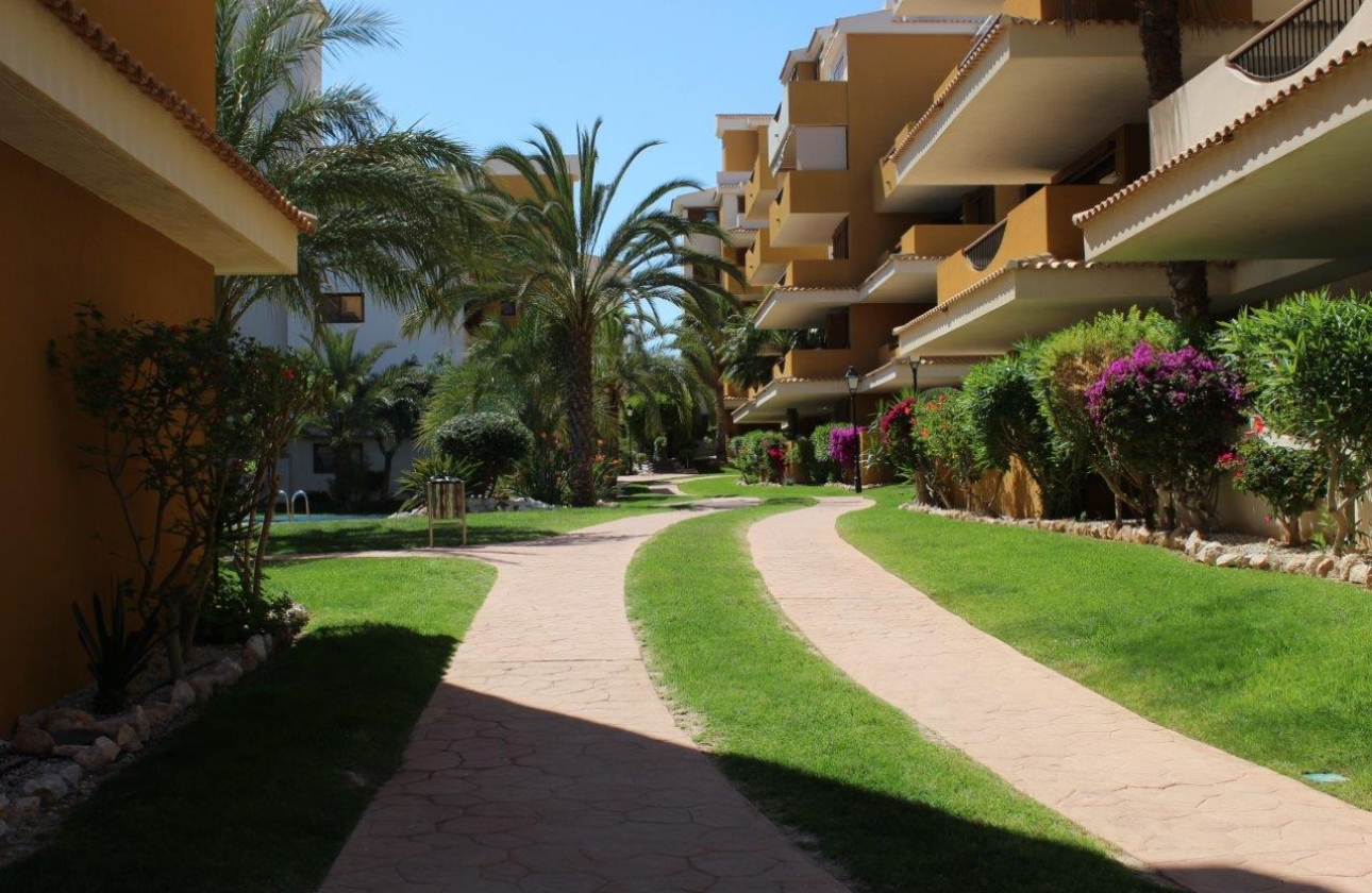 Rynek wtórny - Apartament - Punta Prima - La Entrada