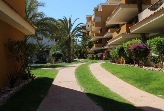 Rynek wtórny - Apartament - Punta Prima - La Entrada