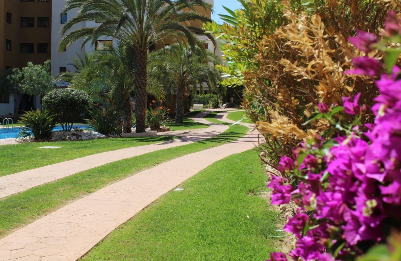 Rynek wtórny - Apartament - Punta Prima - La Entrada