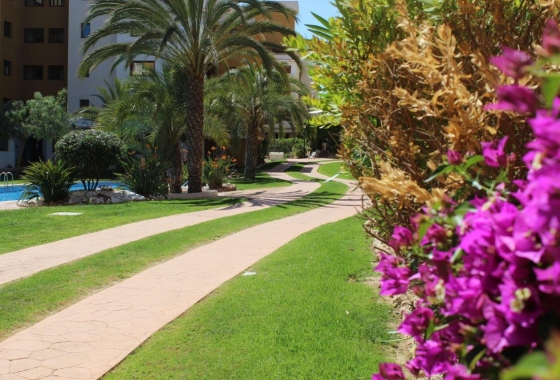 Rynek wtórny - Apartament - Punta Prima - La Entrada