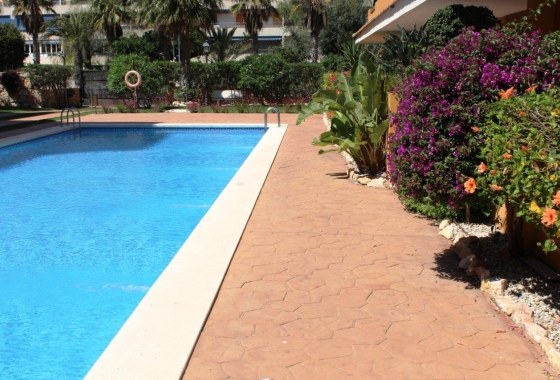 Rynek wtórny - Apartament - Punta Prima - La Entrada