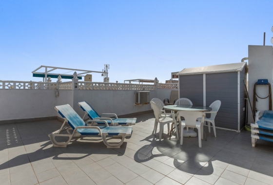 Rynek wtórny - Bungalow - Torrevieja - El Chaparral