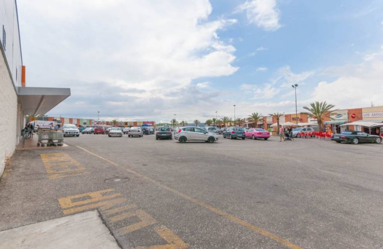 Wynajem długoterminowy - Nieruchomość komercyjna - San Fulgencio - La Marina