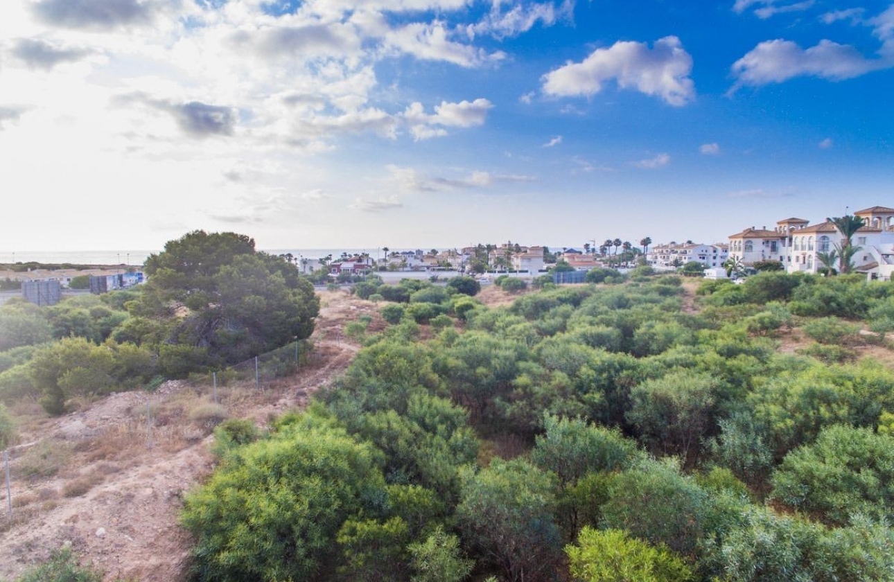 Rynek pierwotny - Apartament - Orihuela Costa - Playa Flamenca