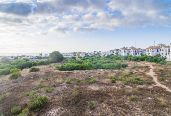 Rynek pierwotny - Apartament - Orihuela Costa - Playa Flamenca