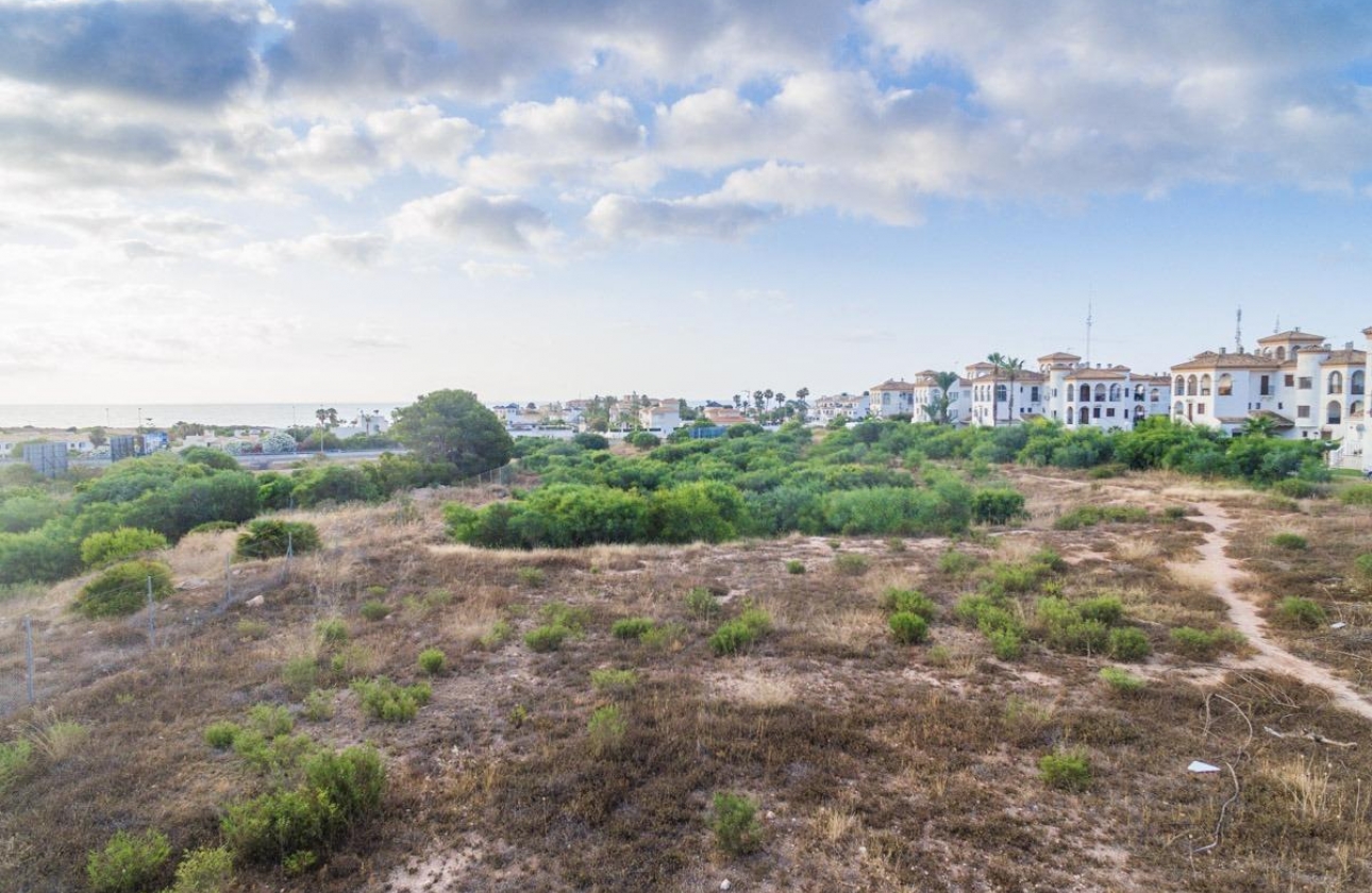 Rynek pierwotny - Apartament - Orihuela Costa - Playa Flamenca