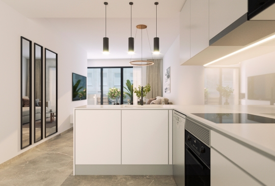 Obra nueva - Ático - Torrevieja