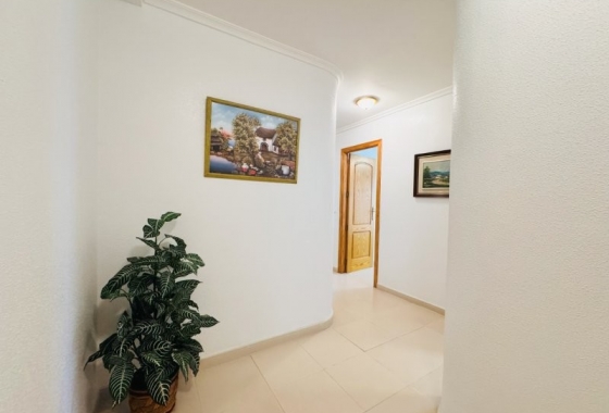 Rynek wtórny - Apartament - Torrevieja - La Mata