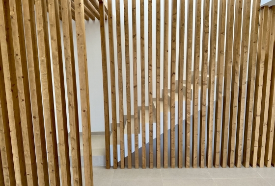 Obra nueva - Detached - Finestrat