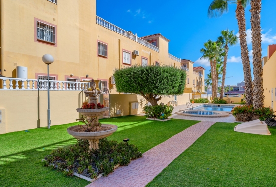 Rynek wtórny - Apartament - San Miguel de Salinas - Orihuela Costa